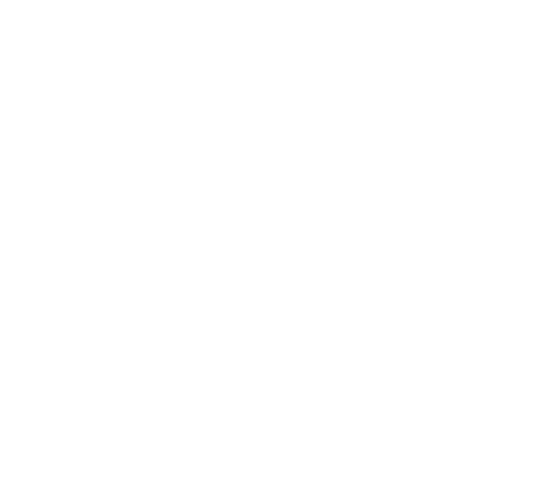 sbs-logo-negative